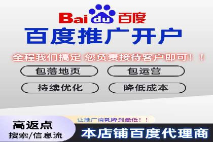 某企业通过SEO和SEM双管齐下实现业绩飞跃的案例